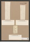 Pleurosigma arcuatum Donkin (de-Toni-Nr.: Genus 13, Species 1093) Zeichnungen Sammlung Grunow Nr. 2130 (NHMW-BOT-W0369166)